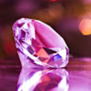 Meet your Posher, Judi